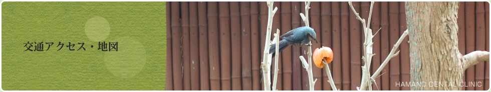 交通アクセス・地図