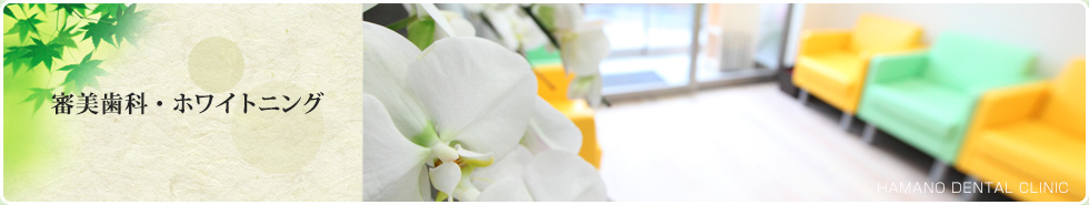 審美歯科・ホワイトニング